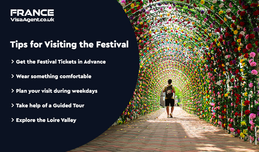 Tips for Visiting the Festival